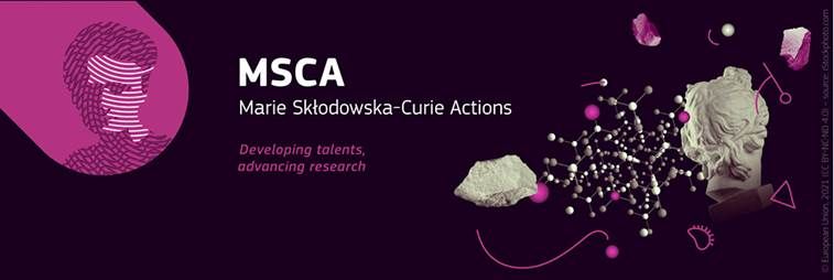 Join the N&N Group thanks to the Postdoctoral Fellowshipos of the Marie Skłodowska-Curie Actions 2024
