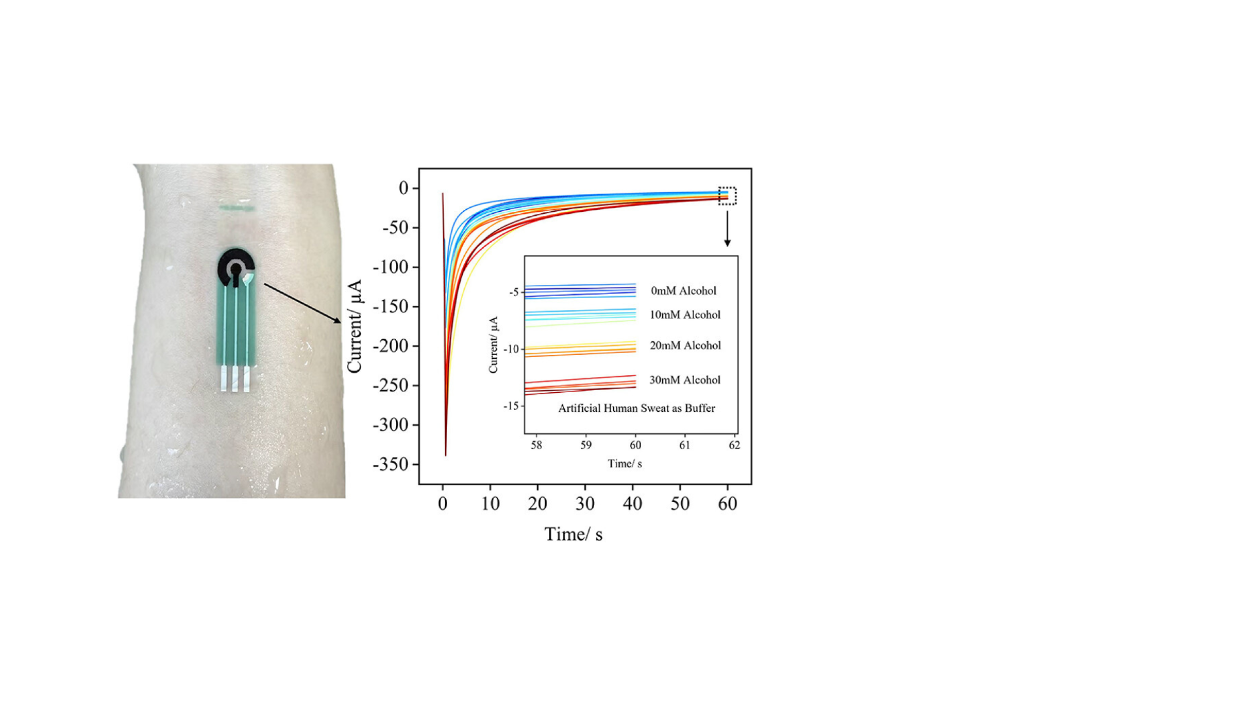 New article in bacterial-cellulose sensors for eco-friendly health monitoring