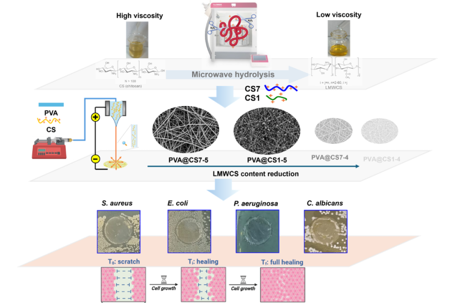 New article: chitosan nanofibers for improved wound healing