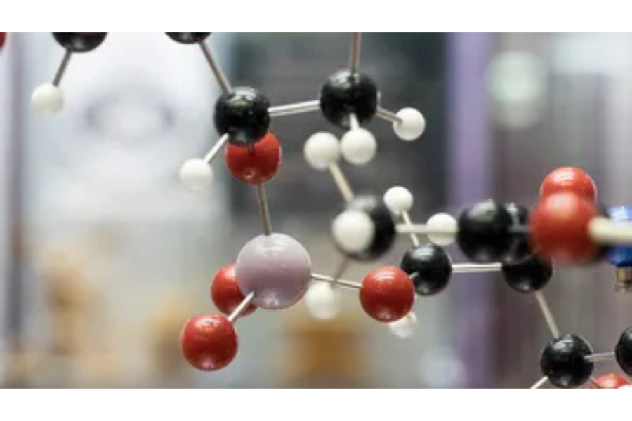 Anna Roig and Juan Pellico published an editorial article