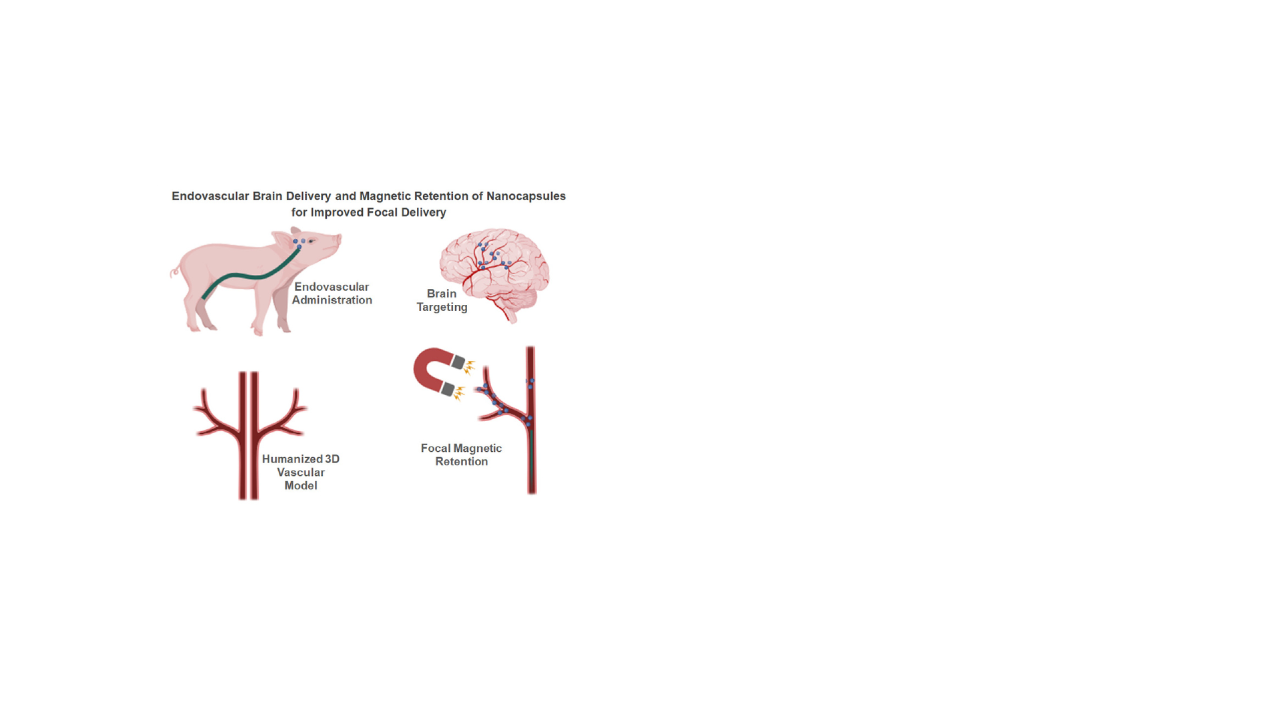 New publication: delivery and retention of nanocapsules for improved brain delivery