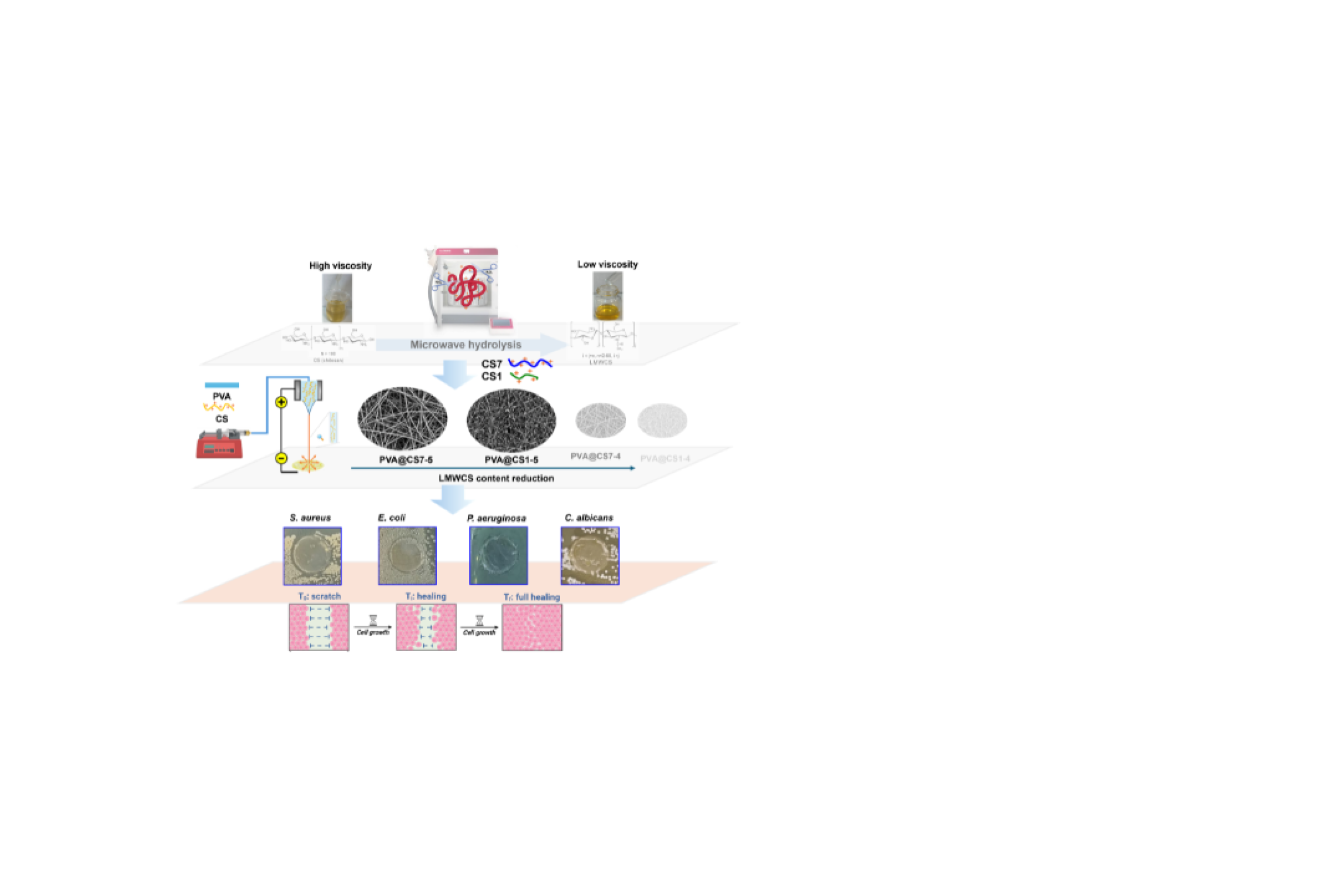 New article: chitosan nanofibers for improved wound healing