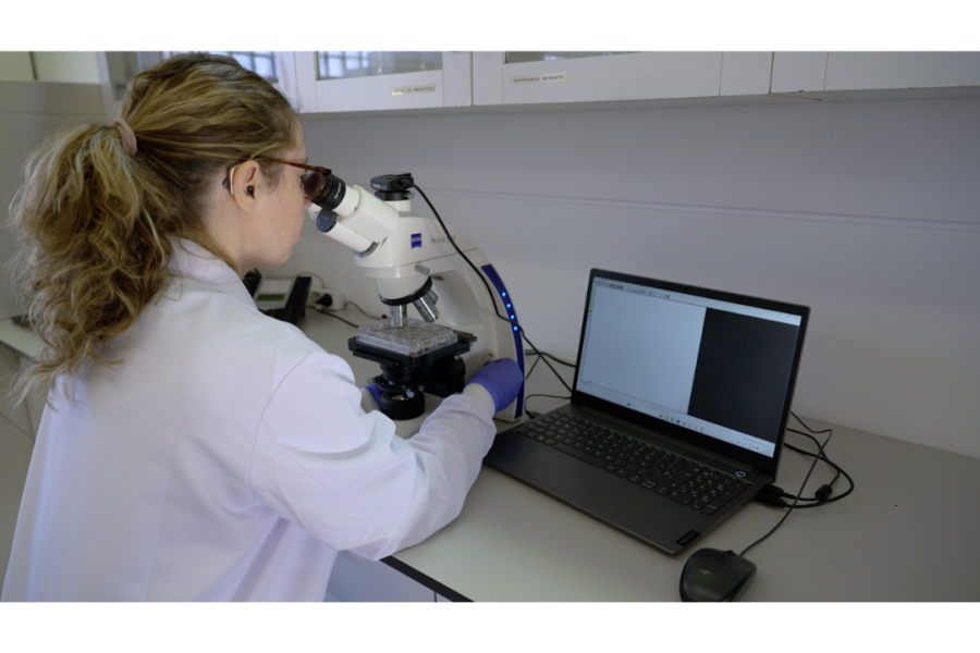 Video: Assessing Gastrointestinal Motility in C. elegans to Study Parkinson's Disease